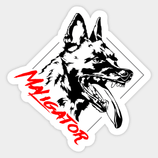 Belgian Malinois Maligator dog portrait Sticker